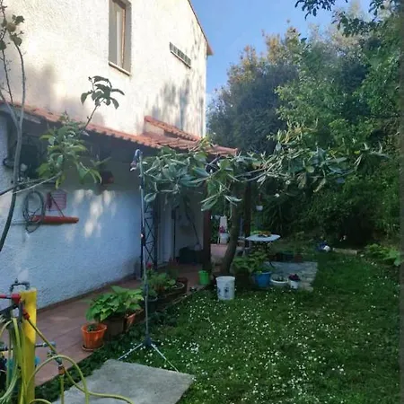 Μιχάλης *